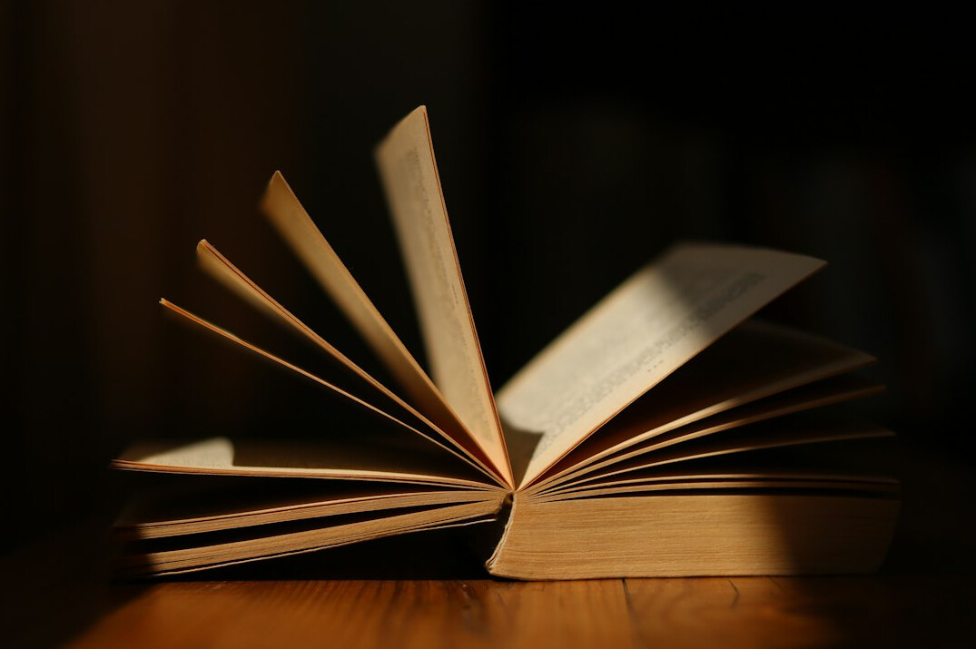 mystery book with twist